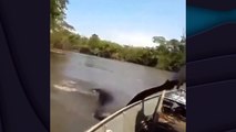 Escalofriante video: unos pescadores luchan contra una anaconda gigante