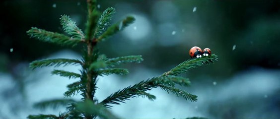 Minúsculos 2 | movie | 2019 | Official Trailer