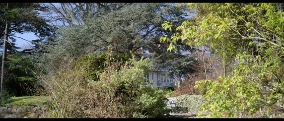 Игра на поражение | movie | 2022 | Official Trailer