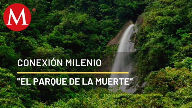 Estampas del Parque Nacional Tapantí, Costa Rica | Conexión Milenio