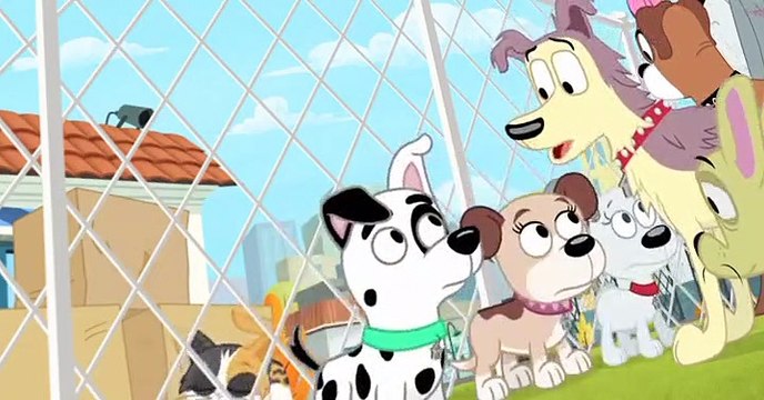 Pound Puppies 2010 Pound Puppies 2010 S03 E011 Hello Kitten