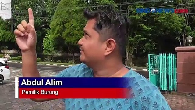 Kerap Juara Kontes, Burung Murai Batu di Pangkalan Bun Digondol Maling dengan Mobil