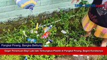 Geger Penemuan Bayi Laki-laki Terbungkus Plastik di Pangkal Pinang, Begini Kondisinya