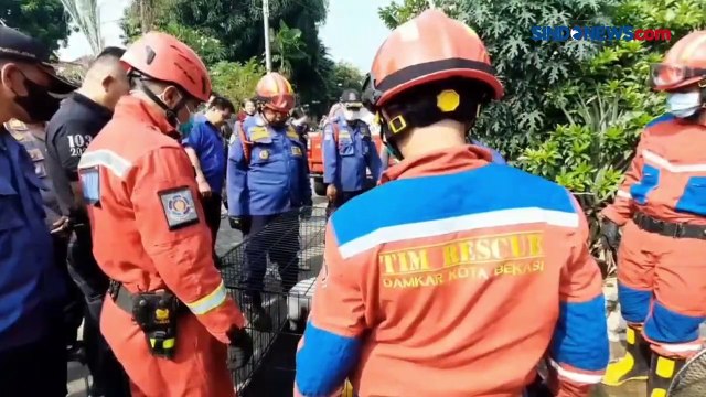 Evakuasi Anjing, Tangan Petugas Rescue Digigit Anjing