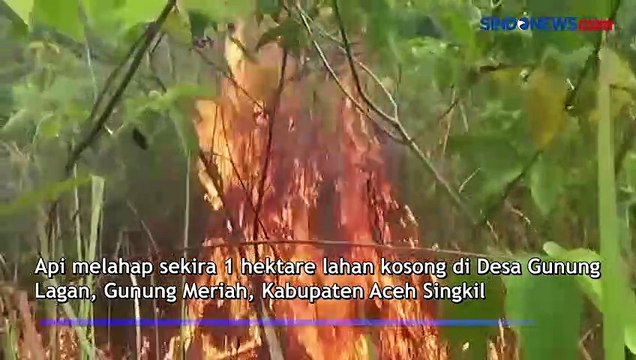 Kebakaran Lahan Seluas 1 Hektare di Aceh Singkil, Petugas Berjibaku Padamkan Api