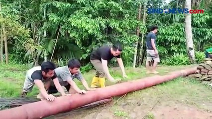 Protes Belum Ada Penerangan, Warga Gelar Upacara Bendera dengan Tiang Listrik di Nias