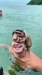 Octopus Hitches a Ride on Swimmer