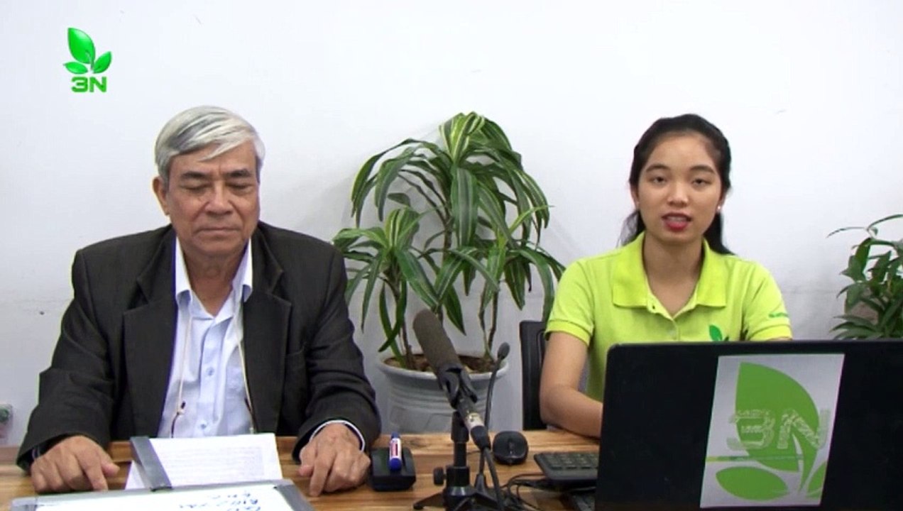 Nguyên nhân khiến nước ao nuôi cá màu xanh đục