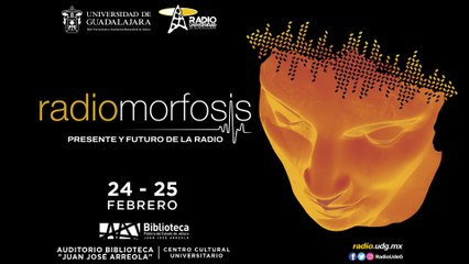 Programa 6 #RadioMorfosis | La industria y los flujos de producción sonora multiplataforma