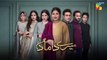 Mere Damad - Episode 27 [ Washma Fatima - Humayun Ashraf ] 8th February 2023 - HUM TV