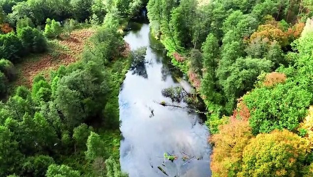 Healing music for the heart and blood vessels calms the nervous system and pleases the soul