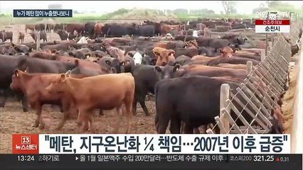지구온난화 주범 메탄…"작년 대규모 배출 세계 1천건"