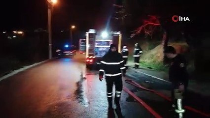 Ormanlık alandaki arı kovanları kül oldu