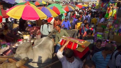 Hindistan'da Halk Holi Festivali'ne Hazırlanıyor