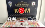 Şırnak'ta asayiş ve kaçakçılık operasyonu: 52 gözaltı