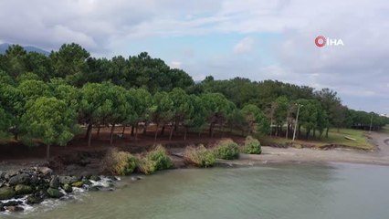 Samsun'da kıyı erozyonu ve tahribatı önlenecek