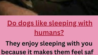 Sleeping with Dog