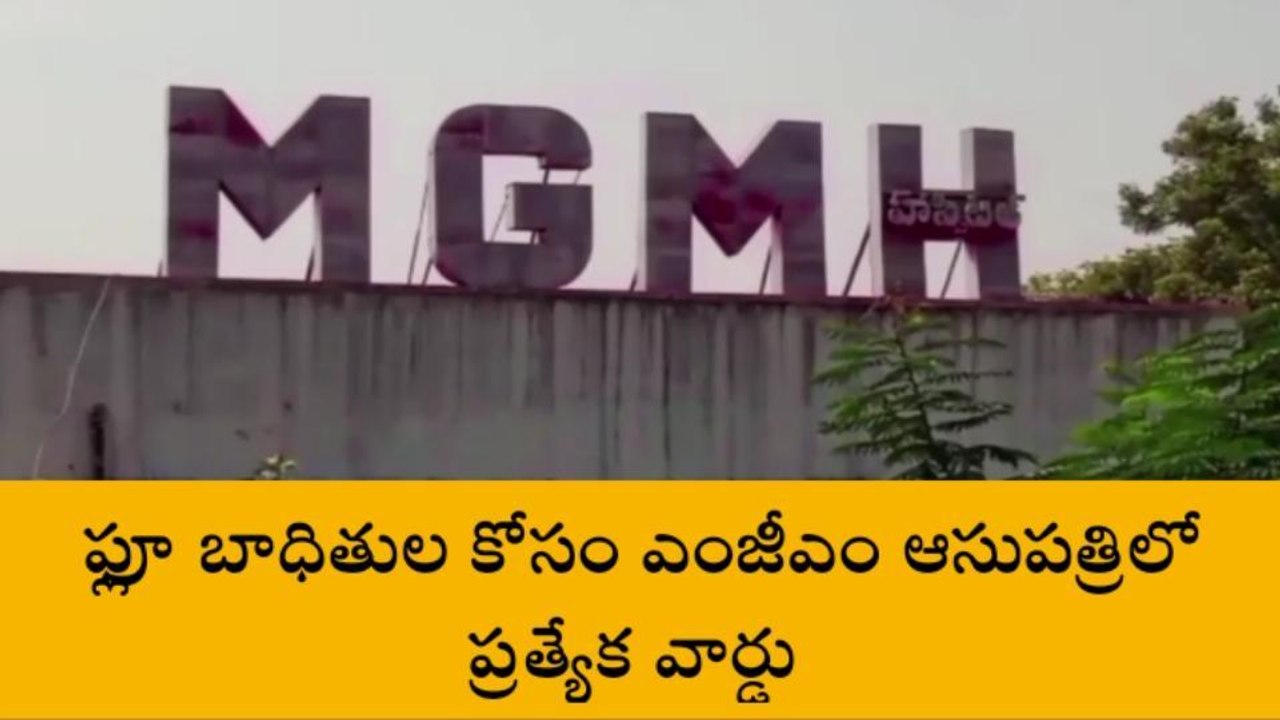 వరంగల్ ఈస్ట్: ఎంజీఎం ఆసుపత్రికి తరలివస్తున్న ఫ్లూ బాధితులు