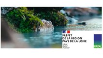 Étude de l’influence des étiages sur la biologie des cours d’eau en Pays de la Loire (DREAL Pays de la Loire)