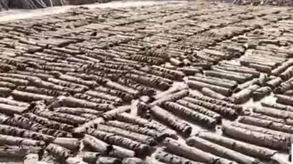 हाथरस में अब गोबर से बनी &#039;लकड़ियों&#039; से होगा होलिका दहन, प्रशासन कर रहा है खास तैयारी