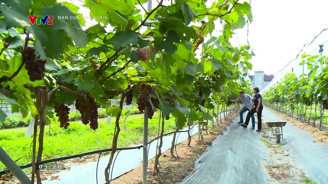 Chương trình Bạn của Nhà nông ngày 5-3-2023