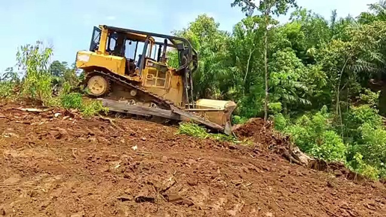 The Easiest Way to Clean Up a Garden - The D6R XL CAT Bulldozer is Perfect
