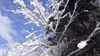 Abant'ta Mart ayında kar sürprizi