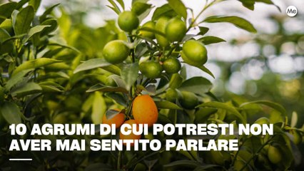 10 agrumi di cui potresti non aver mai sentito parlare