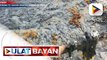 Alkalde ng Pola, Oriental Mindoro, planong magsampa ng kaso laban sa may ari ng MT Princess Empress dahil sa pinsala ng oil spill