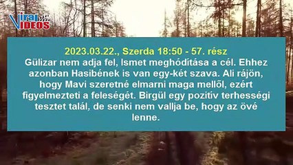 Mavi szerelme 55-59. rész tartalma