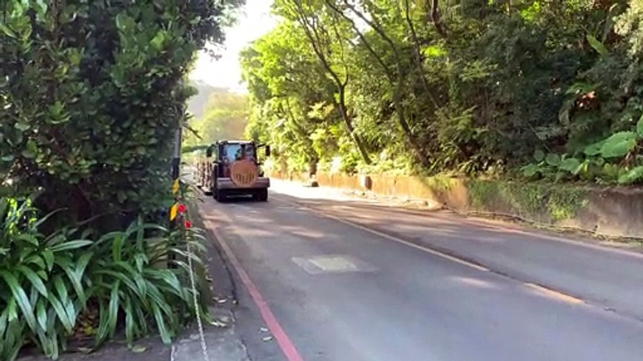 台北市立動物園小火車開往鳥園站Taipei Municipal Zoo train goes to Bird Garden Station #忠駝論壇 #fyp #f4follow #fypシ #foryoupage #happy #asmr #best #cute #foryou #viral