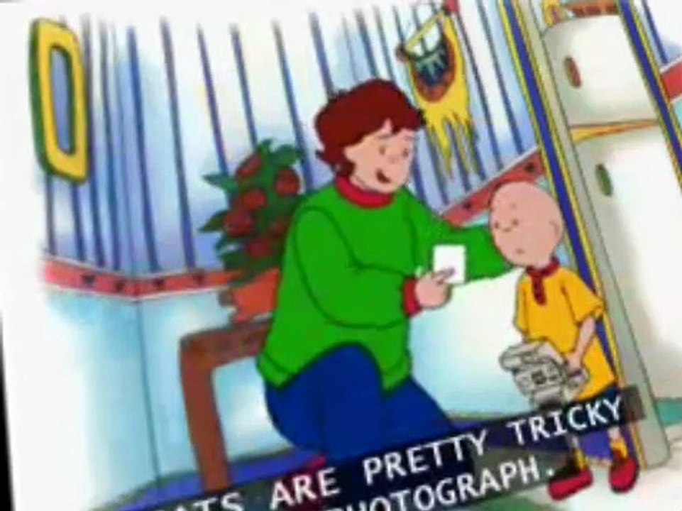 Caillou Caillou E030 Say Cheese