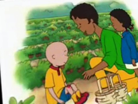 Caillou Caillou E033 Caillou Goes Strawberry Picking