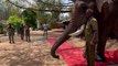 VIDEO: नम आंख व कृतज्ञता से कुमकी हाथी कलीम को दिया गार्ड ऑफ ऑनर