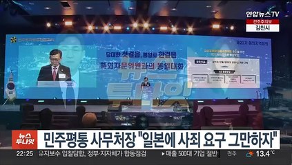 석동현 민주평통 사무처장 "일본에 사죄 요구 그만하자"