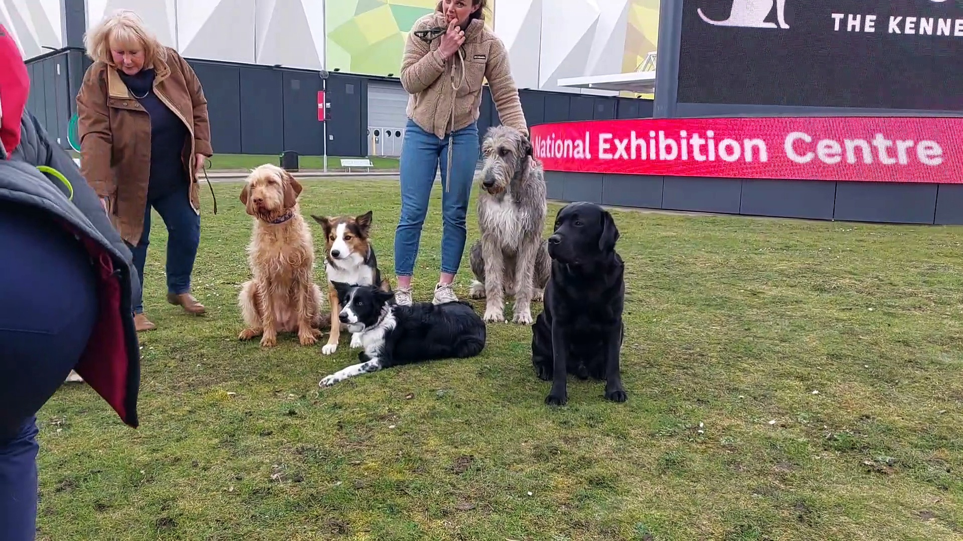 World's ugliest dogs: nine photos of pooches named the worst-looking