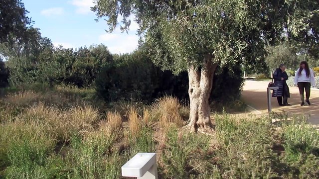 trip to the Athenian Riviera 2023. Stavros Niarchos Foundation Cultural Center