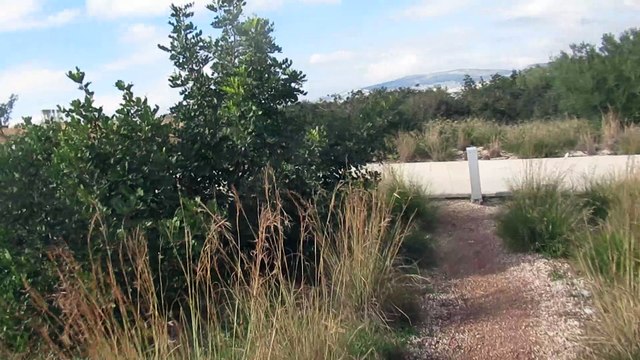 trip to the Athenian Riviera 2023. Stavros Niarchos Foundation Cultural Center