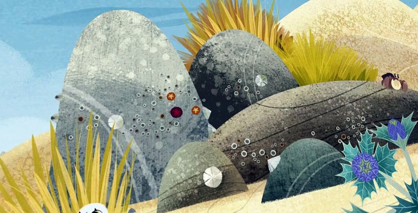 Puffin Rock S02 E06
