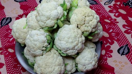 फूल गोभी को बहुत ही आसन तरीके से स्टोर करके रख सकते हैं | gobhi recipe | cauliflower recipe