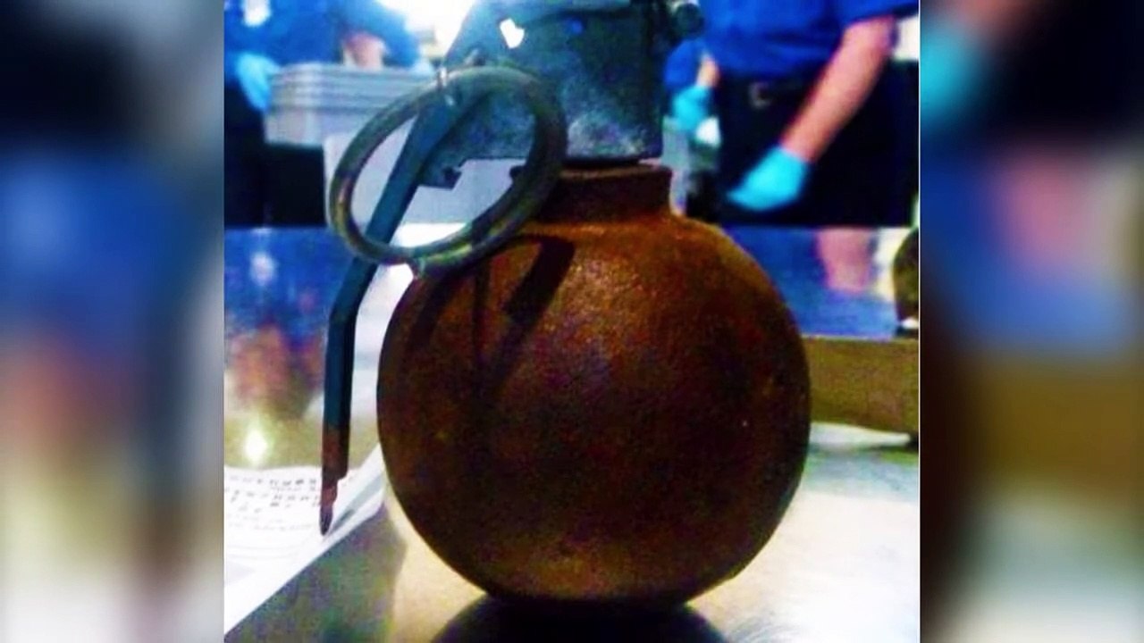 10 Craziest Things Found By Customs