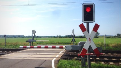 Teurer Fehltritt: Dafür zahlen Fußgänger bis zu 350 Euro Strafe