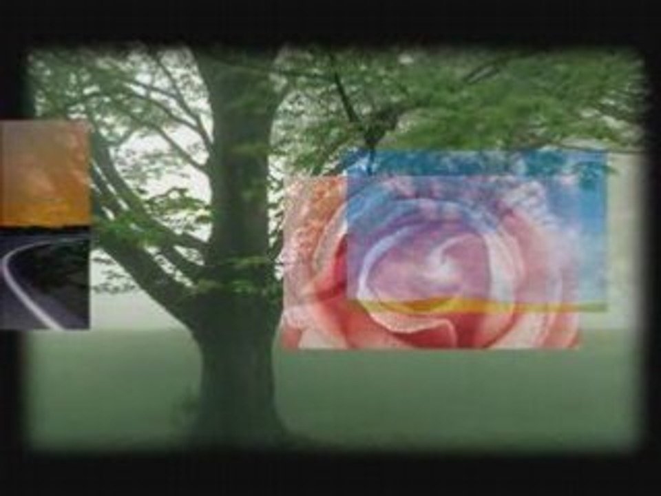 Affordable Video Production