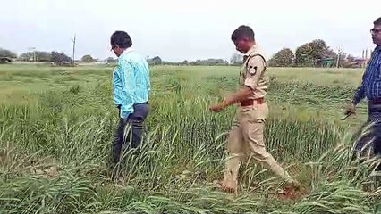 बारिश-आंधी-ओले छोड़ गए किसानों के लिए चिंता