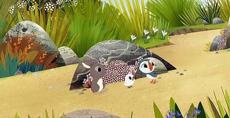 Puffin Rock S02 E13