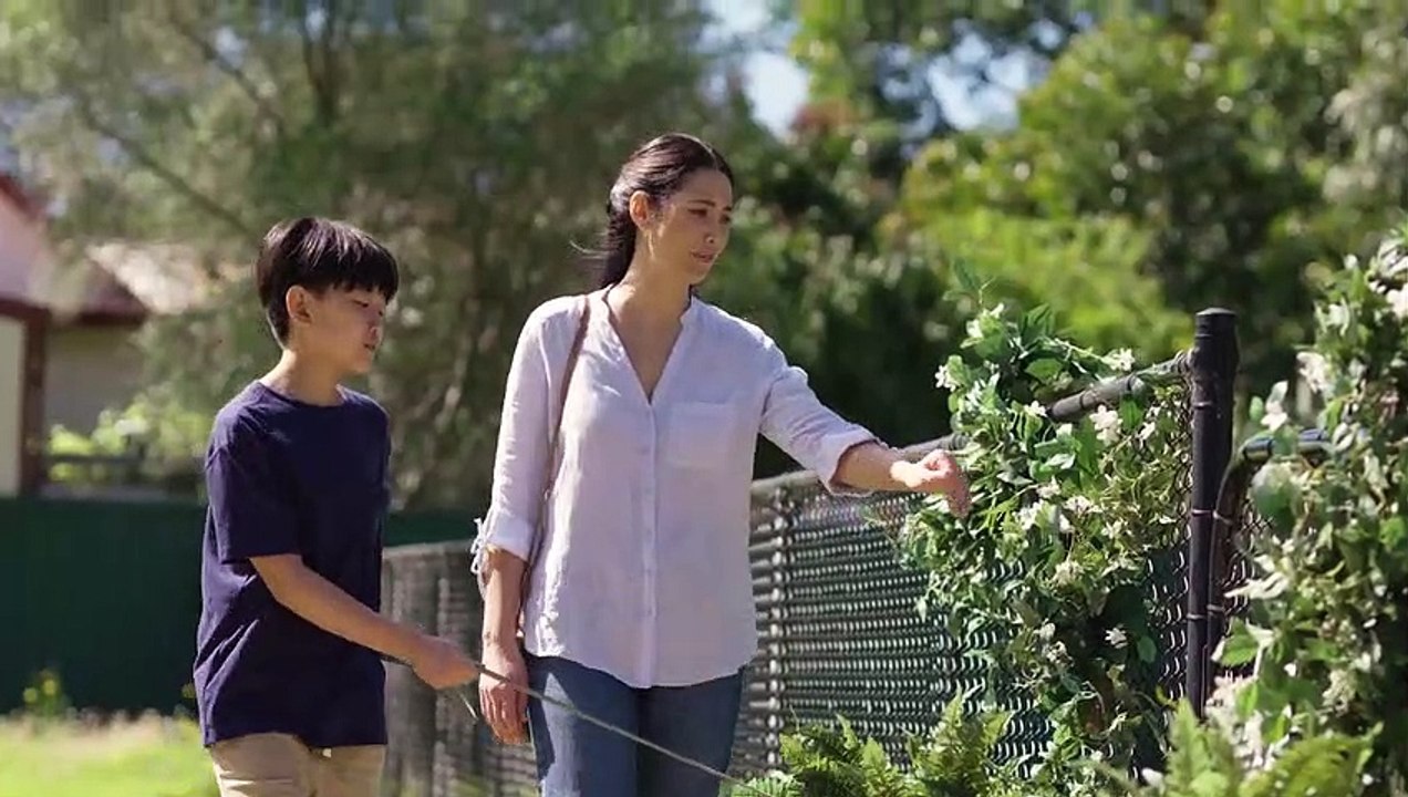 Pet Insurance – Dog Park TVC (60 Sec)