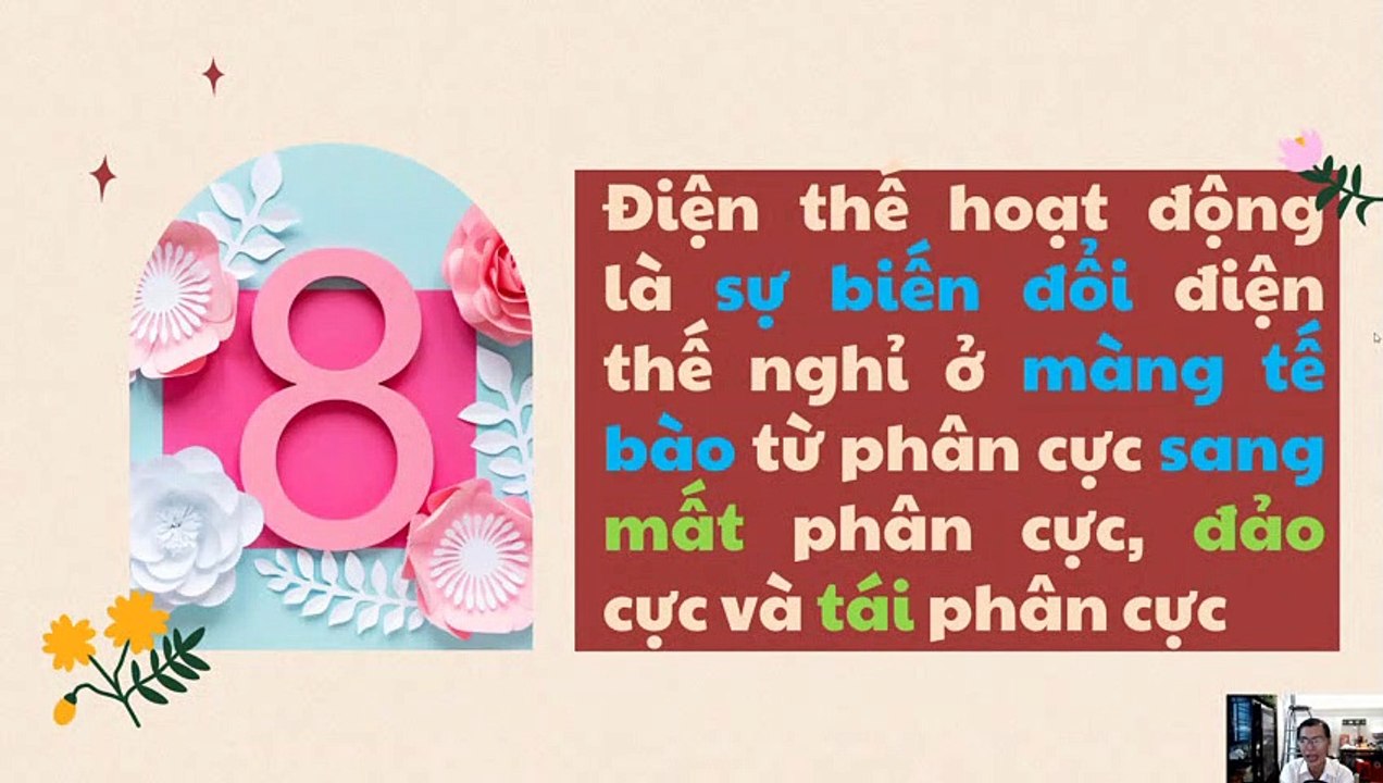 Sinh 11 - Bài 29 Điện thế hoạt động và sự lan truyền xung thần kinh
