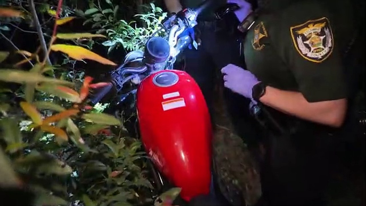 Cops - Se33 - Ep06 ike In The Bushes HD Watch