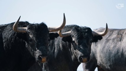 Victorino Martín Fallas 2023