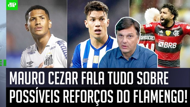 O Uribe e o Ângelo são JOGADORES que... Mauro Cezar FALA TUDO sobre possíveis REFORÇOS do Flamengo!